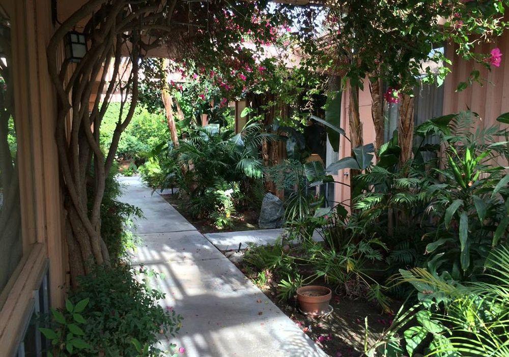 Triangle Inn Clothing Optional Resort For Men Palm Springs Bagian luar foto